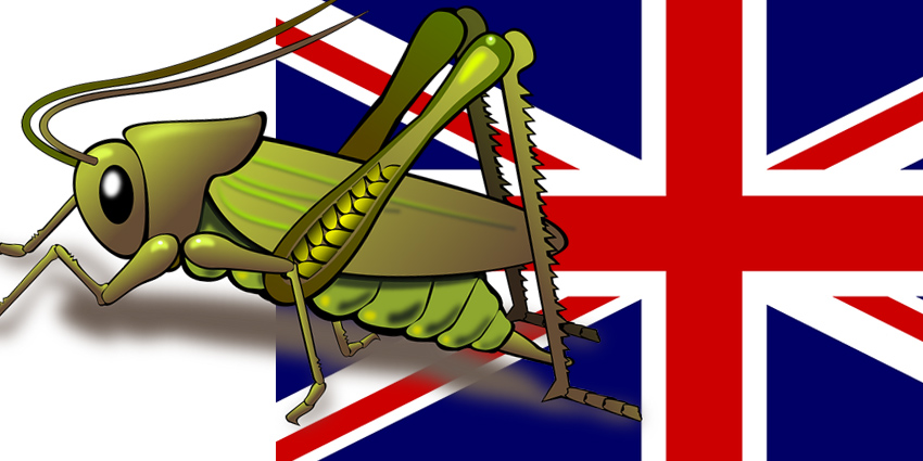 GrasshopperLeavesUK