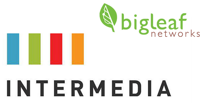 IntermediaBigleafNetworks