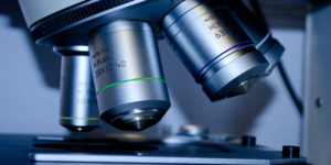 Under the Microscope