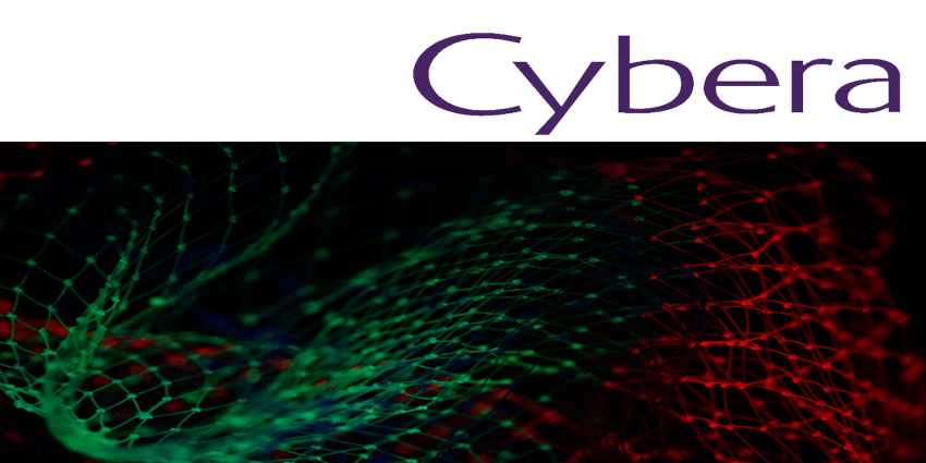 CyberaVue SD WAN