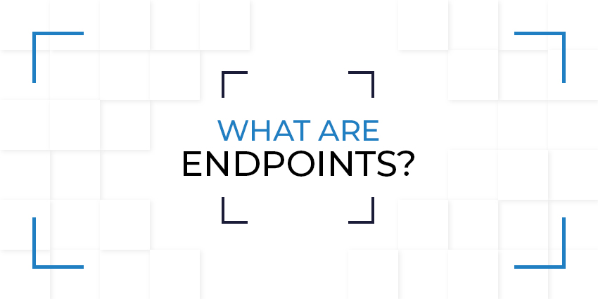 What are Endpoints?