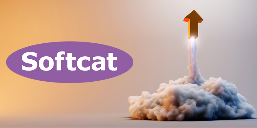 Softcat results