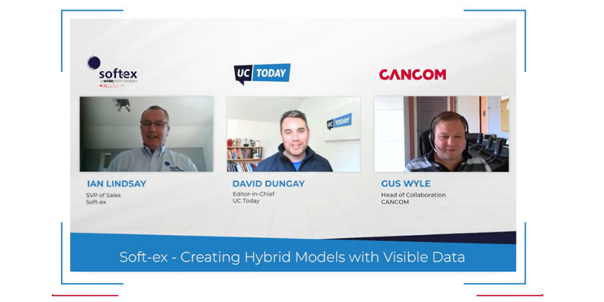 Soft-ex - Creating Hybrid Models with Visible Data
