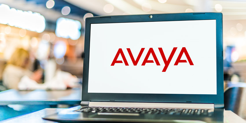 Avaya earnings