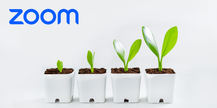 zoom-q1-2024