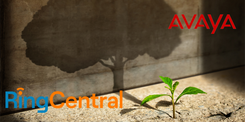 Avaya and RingCentral Launch Hybrid Solution, Expand Partnership