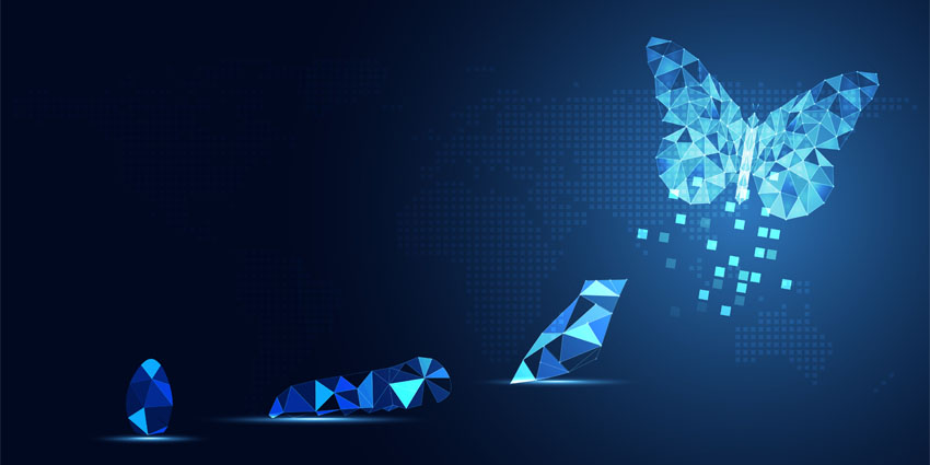 How This Financial Business Was Transformed By Revitalising Its Contact Centre