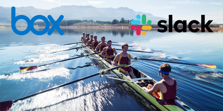 Rowing team rowing scull on lake