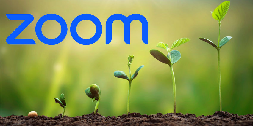 Workvivo Grows By 89% in a Year, Cementing Zoom as an EX Leader